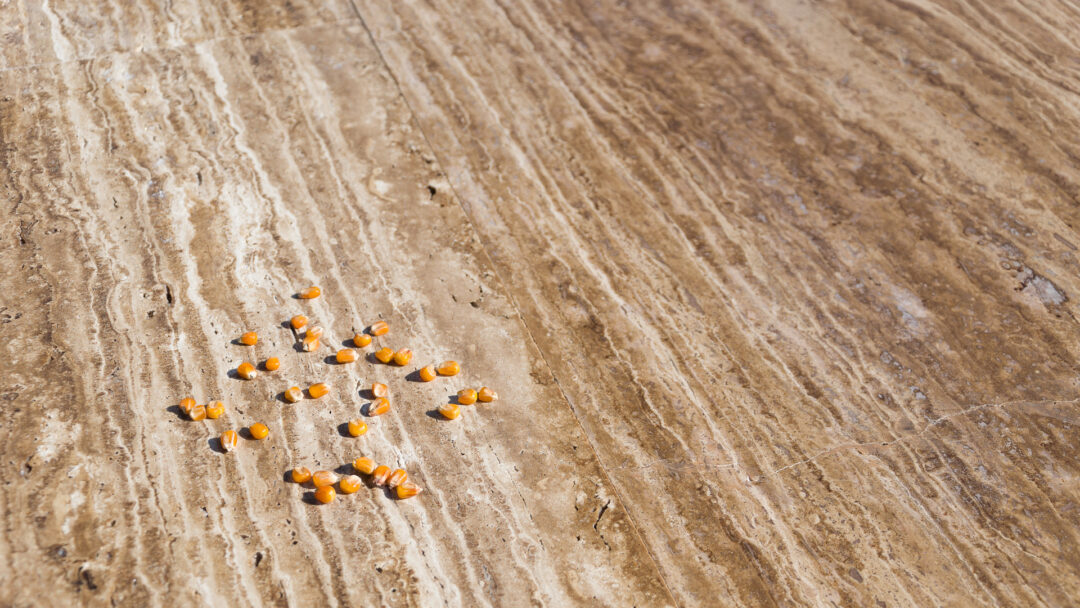 Travertino controfalda marrone-beige Zebra Velvet - Pietre di Rapolano