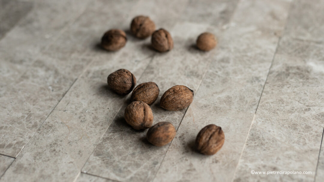 Doga in marmo “silver shadow” levigato