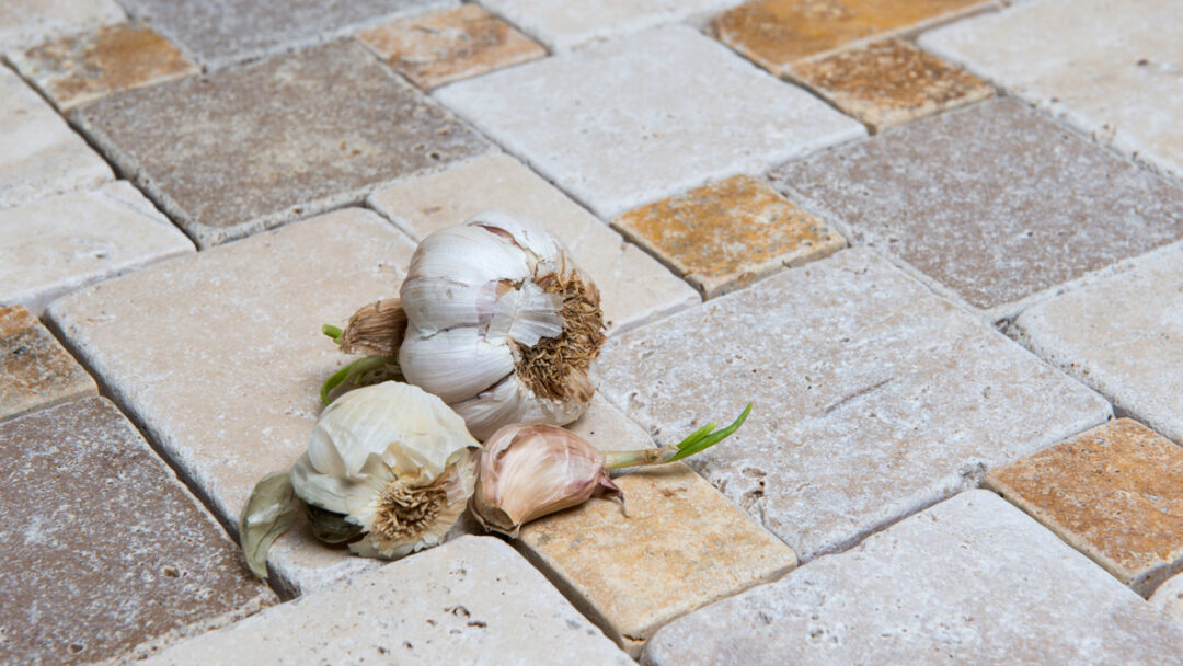 Mosaico in travertino Mini Comp 40 Multicolor Blend Ciottolo