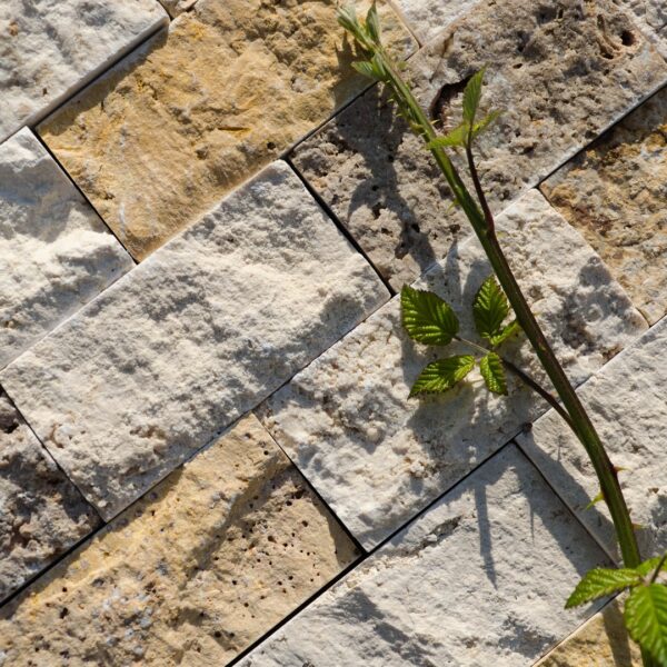 Mosaico in travertino “5,0×10,0 Multicolor” Spacco