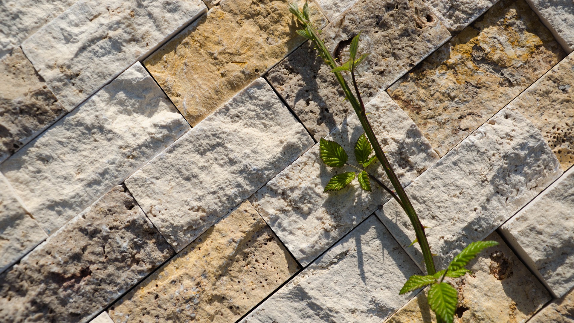 Mosaico in travertino “5,0×10,0 Multicolor” Spacco