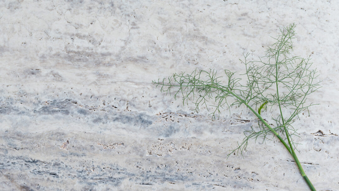 Pdr094 Luna travertine slab