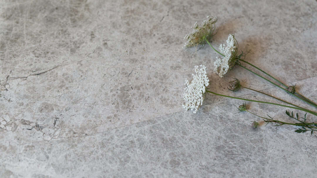 Pdr138 silvershadow marmo grigio