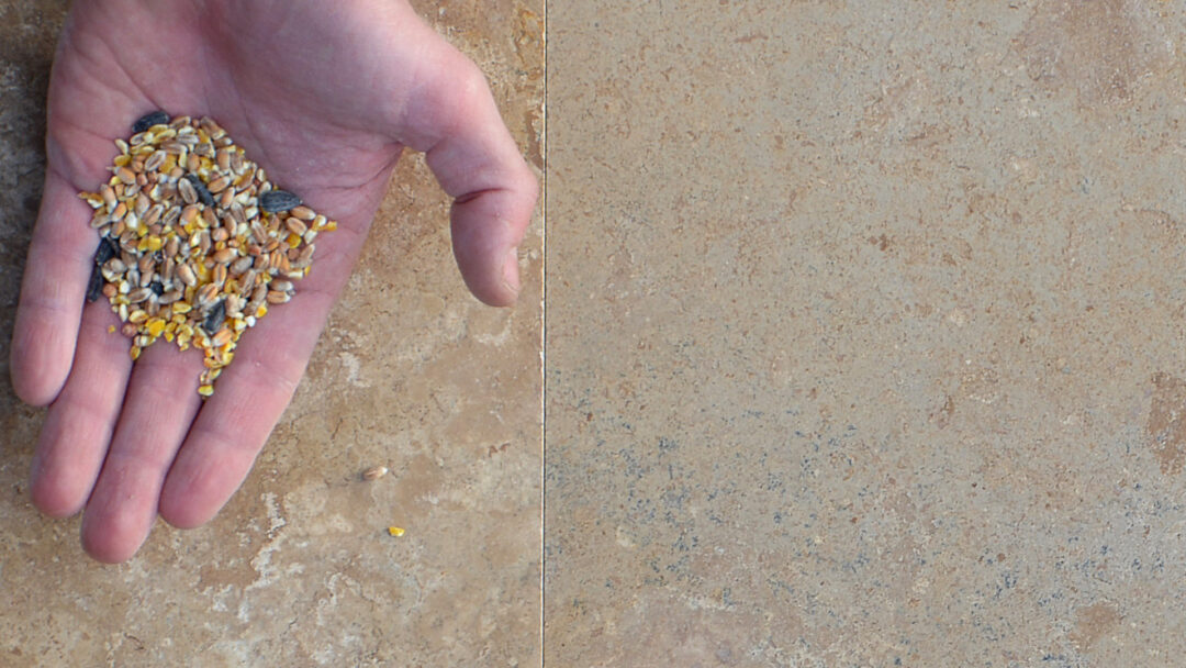 Travertino per pavimenti nel colore Leather Brown (PDR027)