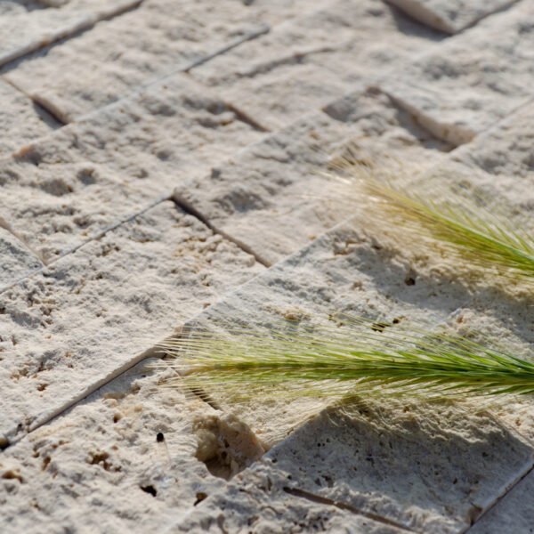 Mosaico in travertino “5,0×10,0 Light Blend” Spacco