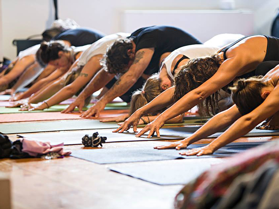 Casayoga Woodline Collection