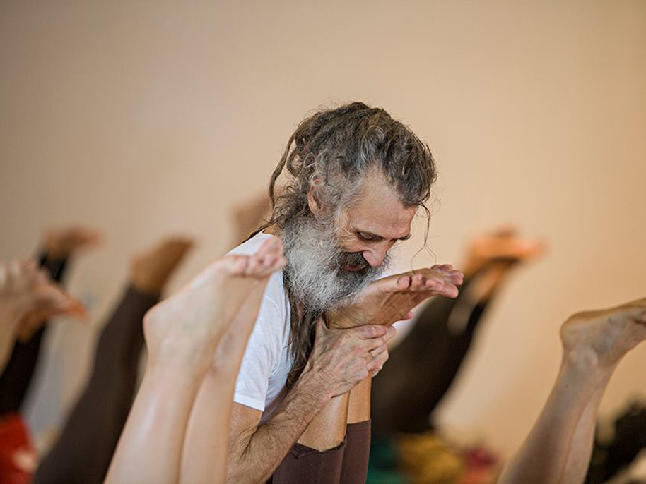 Casayoga Woodline Collection