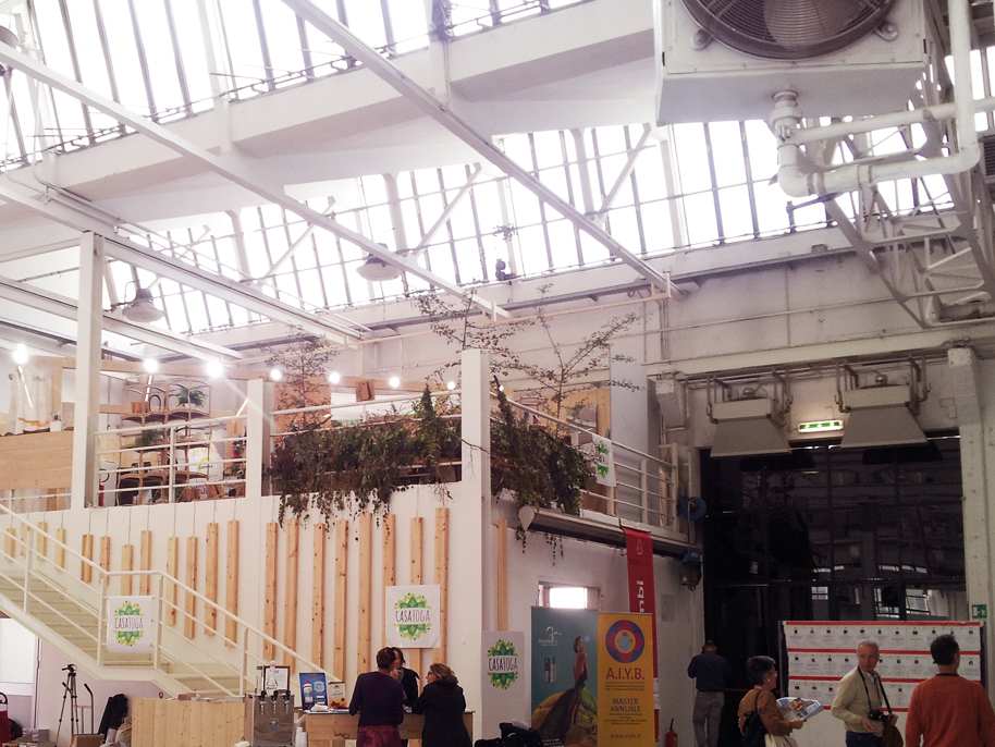 Yoga Festival Woodline Collection Maple Stone