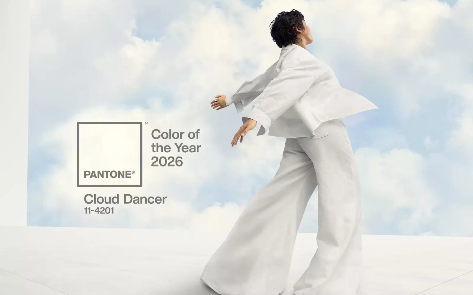 pantone cloud dancer pantone cloud dancer